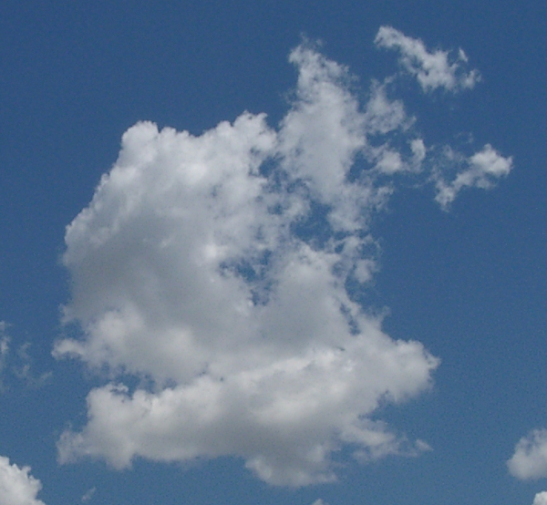 Photo of a cloud