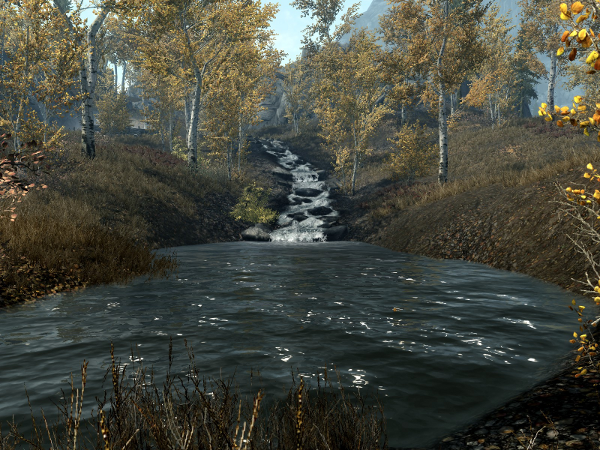 Still image of a pond from Skyrim