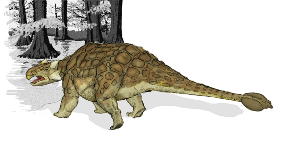 Illustration of an ankylosaur